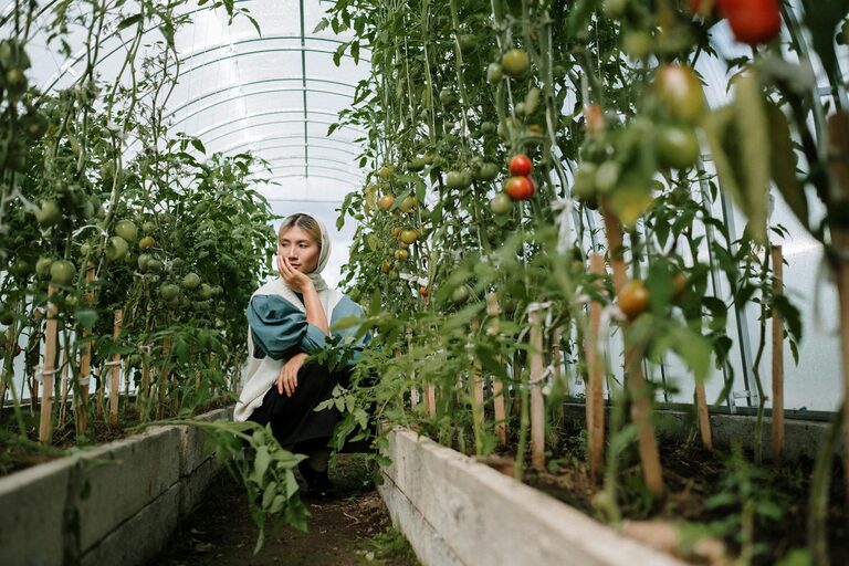 Tips for Creating a Sustainable and Eco-Friendly Home Garden Year-Round